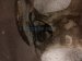 2019 Toyota Tacoma Front Passenger 17in 6spk Wheel / Rim THIS Replacement 2019 Toyota Tacoma Front Passenger 17in 6spk Wheel / Rim THIS Replacement thumbnail