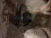 2019 Toyota Tacoma Front Passenger 17in 6spk Wheel / Rim THIS Replacement 2019 Toyota Tacoma Front Passenger 17in 6spk Wheel / Rim THIS Replacement thumbnail