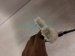 2024 Subaru Legacy Headliner W/o Sunroof Grey Sdn 94415AN01AME Replacement 2024 Subaru Legacy Headliner W/o Sunroof Grey Sdn 94415AN01AME Replacement thumbnail