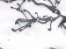 2021 Toyota Highlander Engine Wire Harness 2.5l Hyb Awd 82121 0E350 Replacement 2021 Toyota Highlander Engine Wire Harness 2.5l Hyb Awd 82121 0E350 Replacement thumbnail