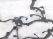 2021 Toyota Highlander Engine Wire Harness 2.5l Hyb Awd 82121 0E350 Replacement 2021 Toyota Highlander Engine Wire Harness 2.5l Hyb Awd 82121 0E350 Replacement thumbnail