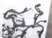 2021 Toyota Highlander Engine Wire Harness 2.5l Hyb Awd 82121 0E350 Replacement 2021 Toyota Highlander Engine Wire Harness 2.5l Hyb Awd 82121 0E350 Replacement thumbnail