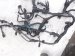 2021 Toyota Highlander Engine Wire Harness 2.5l Hyb Awd 82121 0E350 Replacement 2021 Toyota Highlander Engine Wire Harness 2.5l Hyb Awd 82121 0E350 Replacement thumbnail