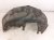 2016 BMW 328i Rear Passenger Inner Fender Liner 51717260294 Replacement 2016 BMW 328i Rear Passenger Inner Fender Liner 51717260294 Replacement thumbnail