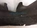 2016 BMW 328i Rear Passenger Inner Fender Liner 51717260294 Replacement 2016 BMW 328i Rear Passenger Inner Fender Liner 51717260294 Replacement thumbnail