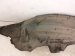 2020 Toyota Camry Rear Driver Inner Fender Liner 65638 06250 Replacement 2020 Toyota Camry Rear Driver Inner Fender Liner 65638 06250 Replacement thumbnail
