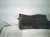 2020 Hyundai Veloster Front Driver Inner Fender Liner 86811 K9000 Replacement 2020 Hyundai Veloster Front Driver Inner Fender Liner 86811 K9000 Replacement thumbnail