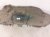 2018 Toyota Tacoma Rear Driver Inner Fender Liner 65638 04070 Replacement 2018 Toyota Tacoma Rear Driver Inner Fender Liner 65638 04070 Replacement thumbnail
