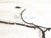 2025 Honda Civic Front Parking Aid Wire Harness 32130 T20 A01 Replacement 2025 Honda Civic Front Parking Aid Wire Harness 32130 T20 A01 Replacement thumbnail
