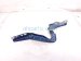 2024 Honda CR V Passenger Hood Hinge Blue 60120 3A0 A00ZZ Replacement 2024 Honda CR V Passenger Hood Hinge Blue 60120 3A0 A00ZZ Replacement thumbnail