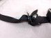 2022 Toyota Corolla Rear Passenger Seat Belt Black Htbk 73360 12B42 C0 Replacement 2022 Toyota Corolla Rear Passenger Seat Belt Black Htbk 73360 12B42 C0 Replacement thumbnail