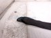 2022 Toyota Corolla Rear Passenger Seat Belt Black Htbk 73360 12B42 C0 Replacement 2022 Toyota Corolla Rear Passenger Seat Belt Black Htbk 73360 12B42 C0 Replacement thumbnail