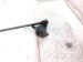 2022 Toyota Corolla Rear Driver Tailgate Shock Strut 68960 0WE20 Replacement 2022 Toyota Corolla Rear Driver Tailgate Shock Strut 68960 0WE20 Replacement thumbnail