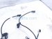2025 Acura Integra Front Bumper Wire Harness 32131 3S5 A10 Replacement 2025 Acura Integra Front Bumper Wire Harness 32131 3S5 A10 Replacement thumbnail