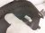 2024 Hyundai Sonata Front Passenger Inner Fender Liner 86812 L1500 Replacement 2024 Hyundai Sonata Front Passenger Inner Fender Liner 86812 L1500 Replacement thumbnail