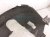 2024 Hyundai Sonata Front Passenger Inner Fender Liner 86812 L1500 Replacement 2024 Hyundai Sonata Front Passenger Inner Fender Liner 86812 L1500 Replacement thumbnail