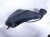 2011 Porsche Panamera Coolant Expansion Reservoir Tank 970 106 151 03 Replacement 2011 Porsche Panamera Coolant Expansion Reservoir Tank 970 106 151 03 Replacement thumbnail