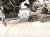 2022 Hyundai Venue Shaft Steering Column 1.6l Sel Fwd 56310 K2400 Replacement 2022 Hyundai Venue Shaft Steering Column 1.6l Sel Fwd 56310 K2400 Replacement thumbnail