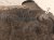 2024 Toyota Tacoma Front Differential Gear 3.58 Ratio 41110 35E90 Replacement 2024 Toyota Tacoma Front Differential Gear 3.58 Ratio 41110 35E90 Replacement thumbnail