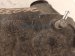 2024 Toyota Tacoma Front Differential Gear 3.58 Ratio 41110 35E90 Replacement 2024 Toyota Tacoma Front Differential Gear 3.58 Ratio 41110 35E90 Replacement thumbnail