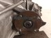 2024 Toyota Tacoma Transfer Case Assy 2.4l 4x4 40k 36100 04030 Replacement 2024 Toyota Tacoma Transfer Case Assy 2.4l 4x4 40k 36100 04030 Replacement thumbnail