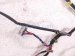 2006 Honda S2000 Left Door Wire Harness 32751 S2A A03 Replacement 2006 Honda S2000 Left Door Wire Harness 32751 S2A A03 Replacement thumbnail