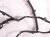 2006 Honda S2000 Left Door Wire Harness 32751 S2A A03 Replacement 2006 Honda S2000 Left Door Wire Harness 32751 S2A A03 Replacement thumbnail