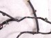 2006 Honda S2000 Left Door Wire Harness 32751 S2A A03 Replacement 2006 Honda S2000 Left Door Wire Harness 32751 S2A A03 Replacement thumbnail