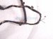 2006 Honda S2000 Left Door Wire Harness 32751 S2A A03 Replacement 2006 Honda S2000 Left Door Wire Harness 32751 S2A A03 Replacement thumbnail