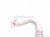 2023 Dodge Ram 1500 Ac Hose Pipe A/c Suction And Liquid Line 68485892AA Replacement 2023 Dodge Ram 1500 Ac Hose Pipe A/c Suction And Liquid Line 68485892AA Replacement thumbnail