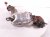 2024 Mazda Cx 50 Exhaust Manifold W/conv 2.5l Awd PY9E 20 50XB Replacement 2024 Mazda Cx 50 Exhaust Manifold W/conv 2.5l Awd PY9E 20 50XB Replacement thumbnail