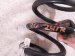 2024 Mazda Cx 50 Strut / / Shock Absorber Rear Passenger Coil Spring 2.5l Awd VA40 28 011A Replacement 2024 Mazda Cx 50 Strut / / Shock Absorber Rear Passenger Coil Spring 2.5l Awd VA40 28 011A Replacement thumbnail