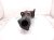 2023 Toyota Corollacs Exhaust Manifold Catalytic Converter 2.0l Awd 17400 F0040 Replacement 2023 Toyota Corollacs Exhaust Manifold Catalytic Converter 2.0l Awd 17400 F0040 Replacement thumbnail