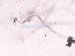2019 Honda Accord Hose / / Line Ac Receiver Pipe 1.5l 80341 TVA A01 Replacement 2019 Honda Accord Hose / / Line Ac Receiver Pipe 1.5l 80341 TVA A01 Replacement thumbnail