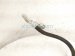 2018 BMW X5 Ac Line A/c Discharge Hose / Pipe 3.0l 64 50 6 842 315 Replacement 2018 BMW X5 Ac Line A/c Discharge Hose / Pipe 3.0l 64 50 6 842 315 Replacement thumbnail