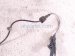 2019 Honda Accord Front Driver Abs Wheel Speed Sensor 1.5l 47560 TVA A53 Replacement 2019 Honda Accord Front Driver Abs Wheel Speed Sensor 1.5l 47560 TVA A53 Replacement thumbnail