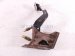 2006 Honda S2000 Clutch Pedal Assy 6910 S2A A03 Replacement 2006 Honda S2000 Clutch Pedal Assy 6910 S2A A03 Replacement thumbnail