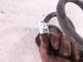 2019 Honda Accord Strut / / Shock Absorber Rear Driver Coil Spring 1.5t Sport 52441 TVA A03 Replacement 2019 Honda Accord Strut / / Shock Absorber Rear Driver Coil Spring 1.5t Sport 52441 TVA A03 Replacement thumbnail