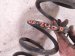 2019 Honda Accord Strut / / Shock Absorber Rear Driver Coil Spring 1.5t Sport 52441 TVA A03 Replacement 2019 Honda Accord Strut / / Shock Absorber Rear Driver Coil Spring 1.5t Sport 52441 TVA A03 Replacement thumbnail