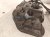 2025 Honda Accord Gas / Fuel Tank 17044 30B A00 Replacement 2025 Honda Accord Gas / Fuel Tank 17044 30B A00 Replacement thumbnail