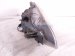 2006 Honda S2000 Headlight Driver Headlamp / Light 33151 S2A A21 Replacement 2006 Honda S2000 Headlight Driver Headlamp / Light 33151 S2A A21 Replacement thumbnail