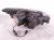 2006 Honda S2000 Headlight Driver Headlamp / Light 33151 S2A A21 Replacement 2006 Honda S2000 Headlight Driver Headlamp / Light 33151 S2A A21 Replacement thumbnail