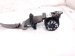 2021 Honda CR V Rear 2nd Row Driver Seat Belt Grey 04828 TLA A00ZC Replacement 2021 Honda CR V Rear 2nd Row Driver Seat Belt Grey 04828 TLA A00ZC Replacement thumbnail