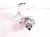 2018 BMW X5 Brake Master Cylinder W/reservoir 34336772930 Replacement 2018 BMW X5 Brake Master Cylinder W/reservoir 34336772930 Replacement thumbnail