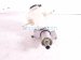 2018 BMW X5 Brake Master Cylinder W/reservoir 34336772930 Replacement 2018 BMW X5 Brake Master Cylinder W/reservoir 34336772930 Replacement thumbnail