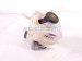 2018 BMW X5 Brake Master Cylinder W/reservoir 34336772930 Replacement 2018 BMW X5 Brake Master Cylinder W/reservoir 34336772930 Replacement thumbnail