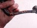 2018 BMW X5 Fuel Tank Vent Valve Hose Assy 7636156 02 Replacement 2018 BMW X5 Fuel Tank Vent Valve Hose Assy 7636156 02 Replacement thumbnail