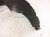 2026 Hyundai Venue Front Driver Inner Fender Liner 86811 K2000 Replacement 2026 Hyundai Venue Front Driver Inner Fender Liner 86811 K2000 Replacement thumbnail