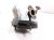 2024 Nissan Altima Exhaust Manifold 208A2 6GU0A Replacement 2024 Nissan Altima Exhaust Manifold 208A2 6GU0A Replacement thumbnail