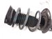 2024 Nissan Altima Front Passenger Strut Absorber + Spring E4302 6CA0A Replacement 2024 Nissan Altima Front Passenger Strut Absorber + Spring E4302 6CA0A Replacement thumbnail